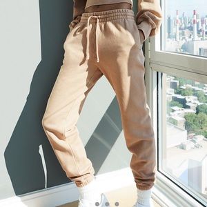 Aritzia gd chasm boyfriend sweats